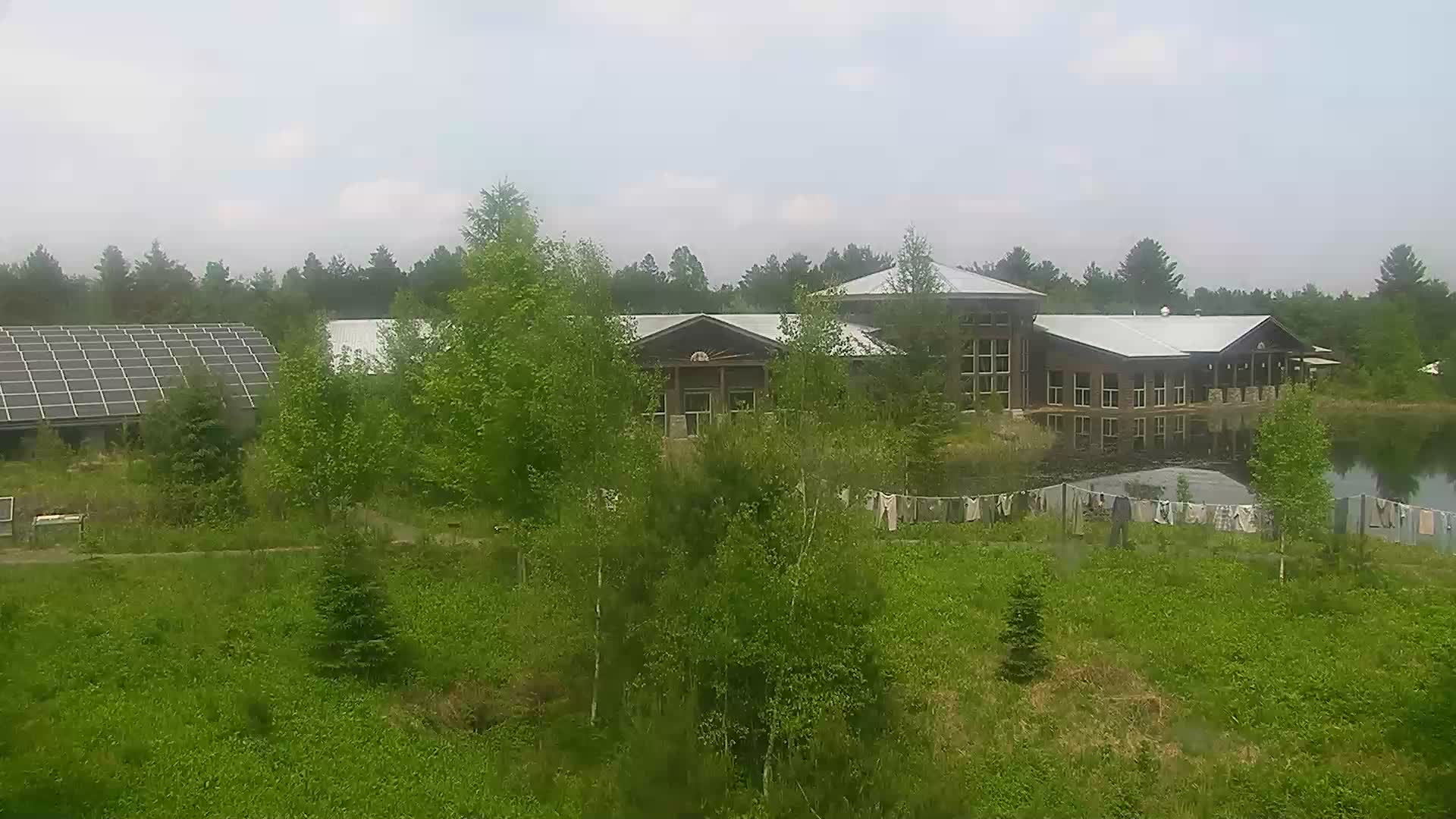 Wild Center Live View - The Wild Center