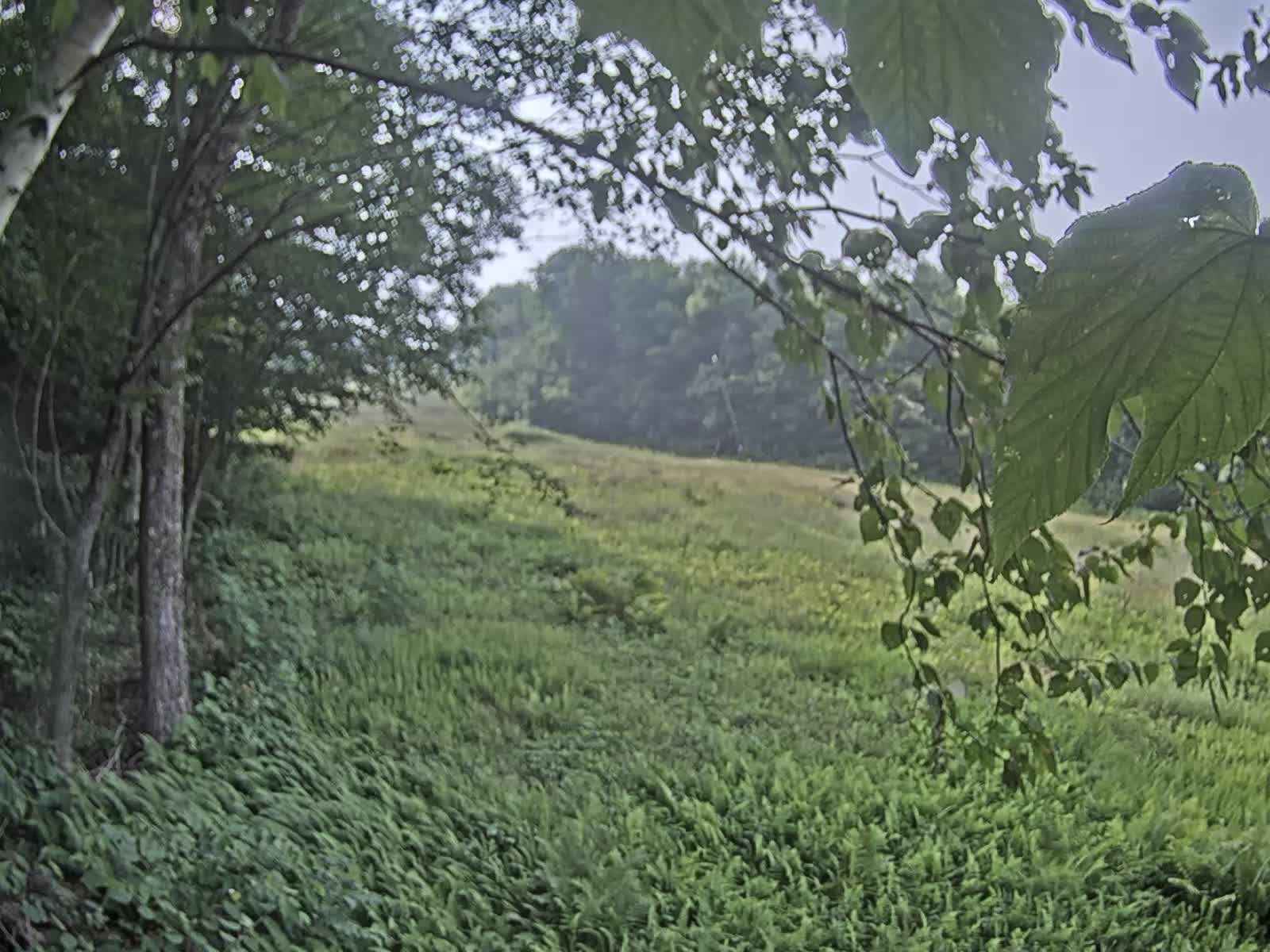 Okemo Mountain Webcams OMARA