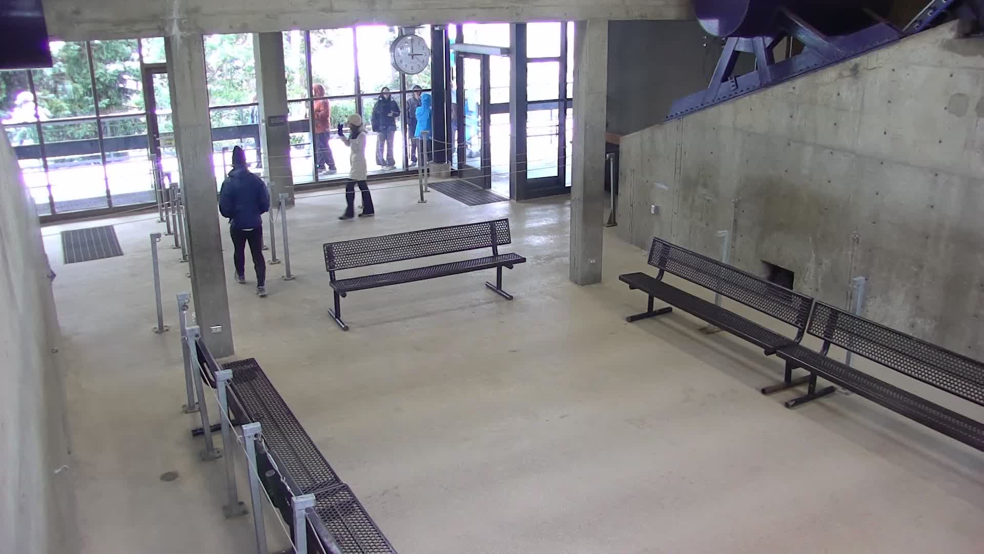 Tram Bullpen