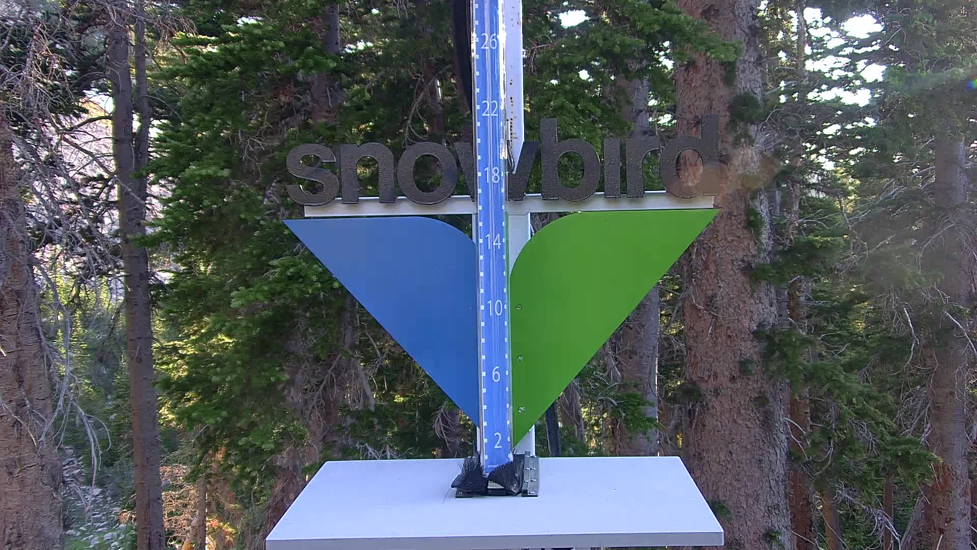 Snow Stake